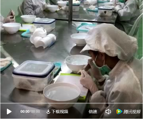 馬來(lái)挑毛廠