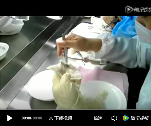 挑毛廠挑毛視頻