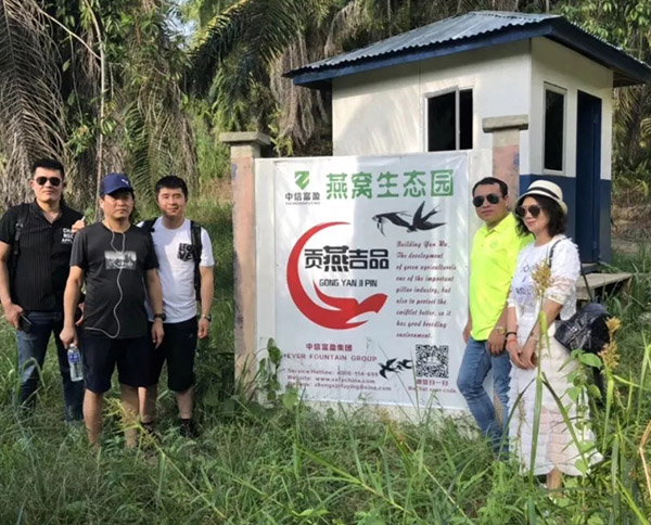 重大喜訊!投資中信富盈集團馬來(lái)西亞燕屋項目的鐘女士正式簽訂20間燕屋!