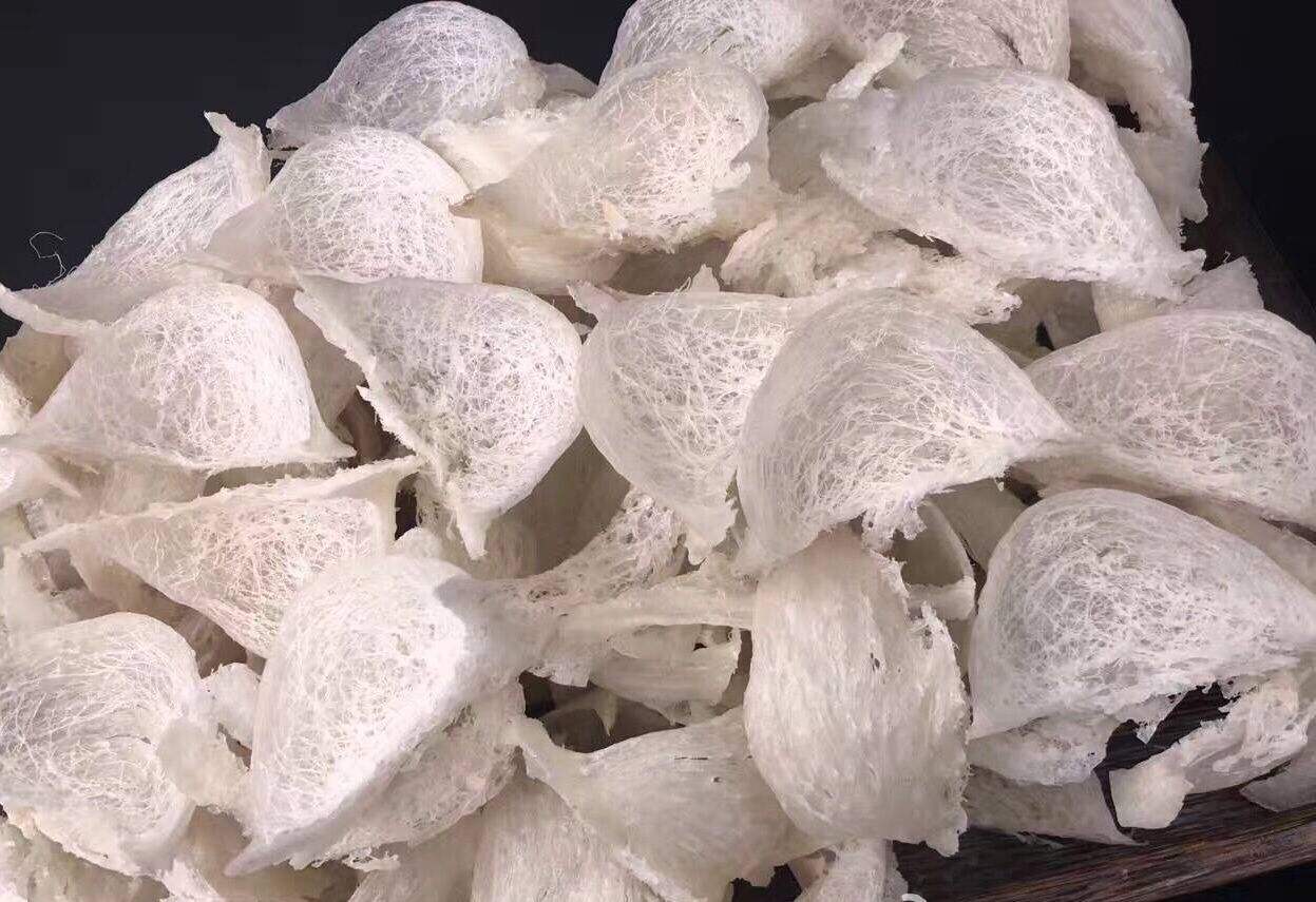 即食燕窩能加熱嗎？即食燕窩怎么加熱呢？