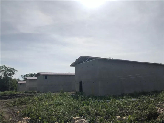 金絲燕的燕屋是怎么修建的