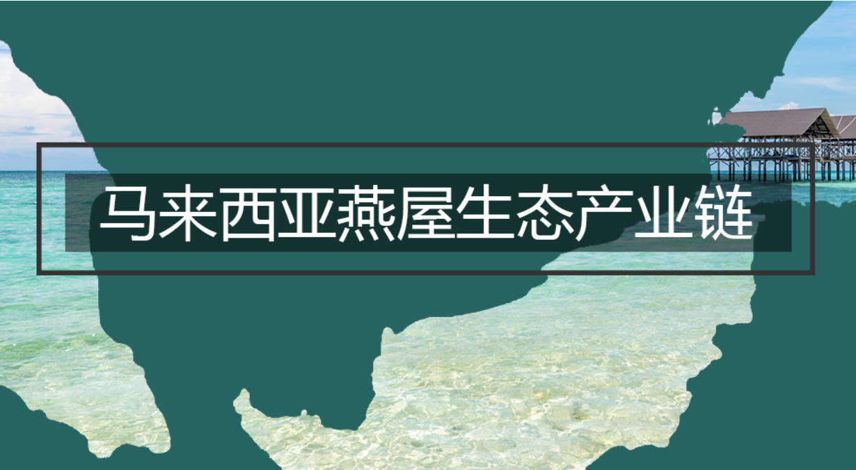 中信富盈燕屋產(chǎn)業(yè)鏈—源自馬來(lái)西亞的“燕屋”